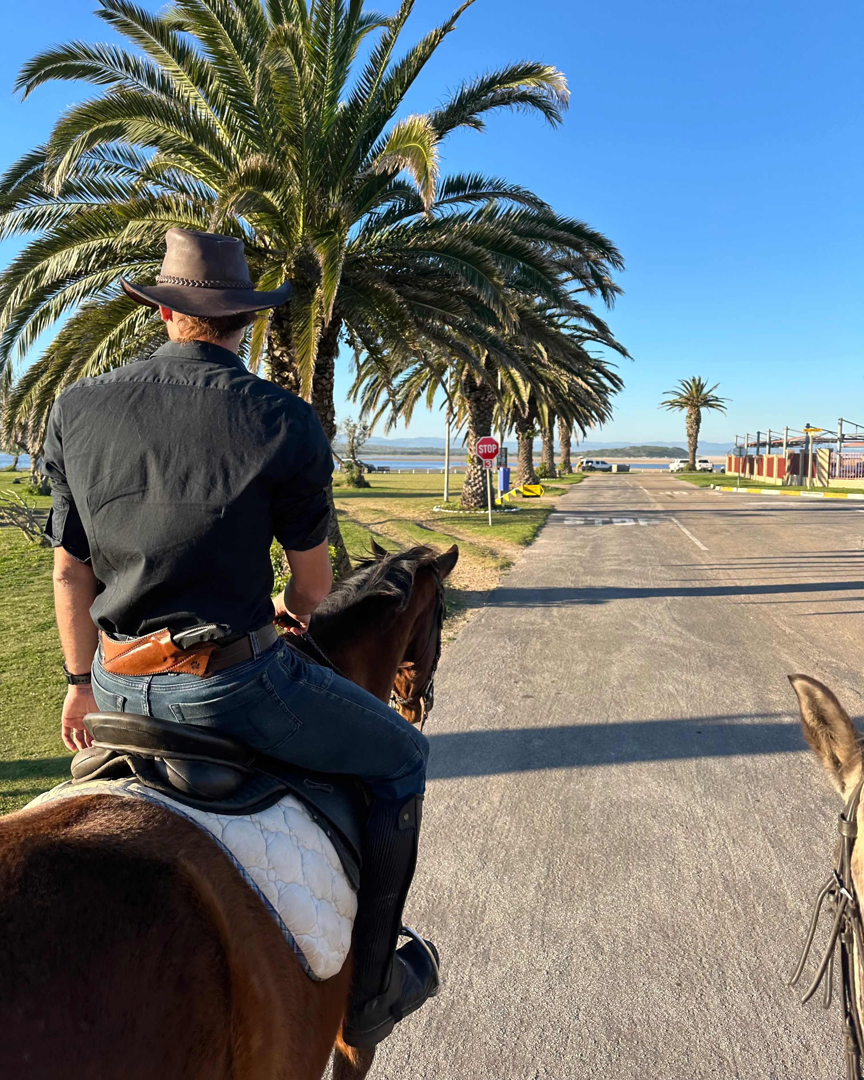 Theuns riding along a palm-lined road, seen from behind